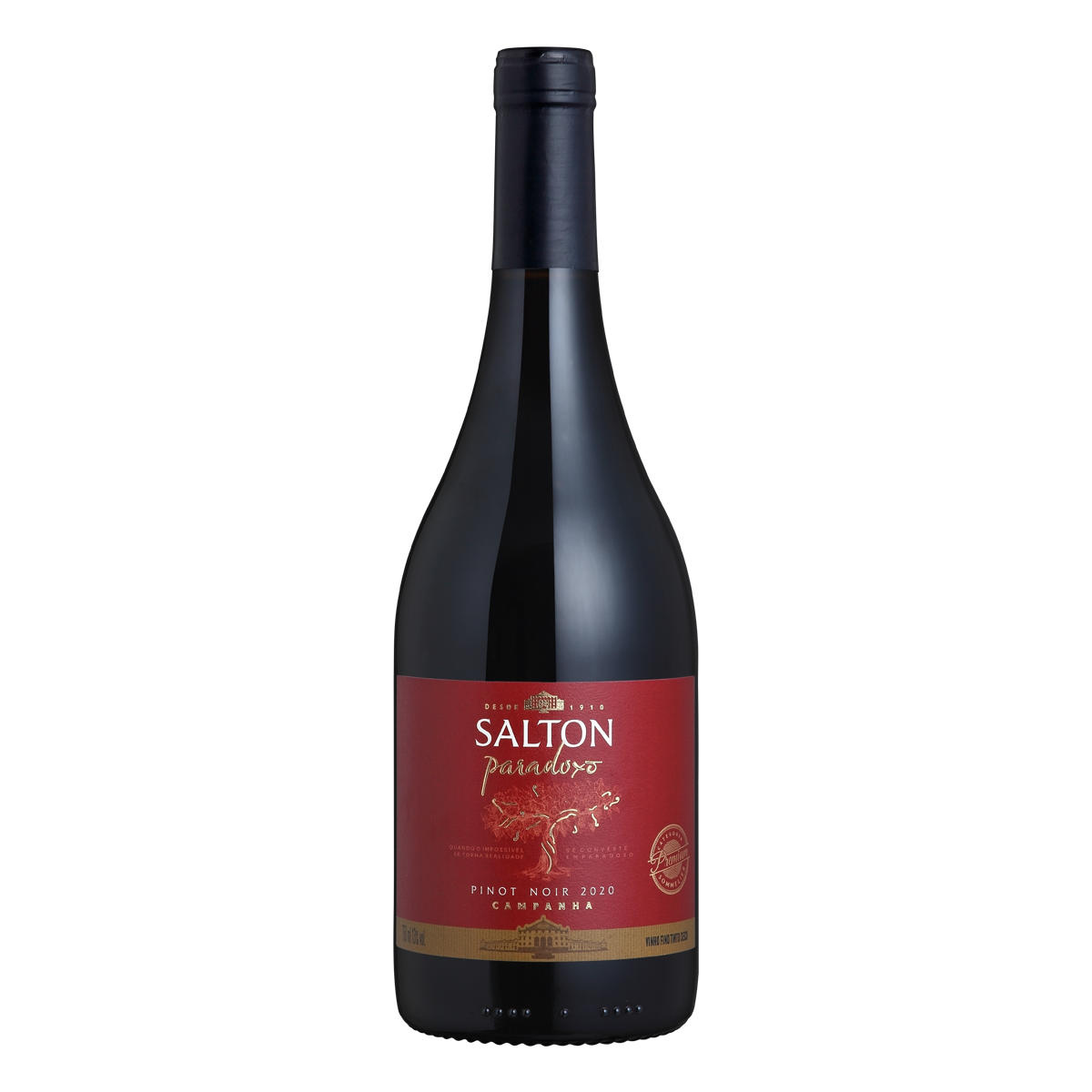 Vinho Salton Paradoxo Pinot Noir 750ml 2020