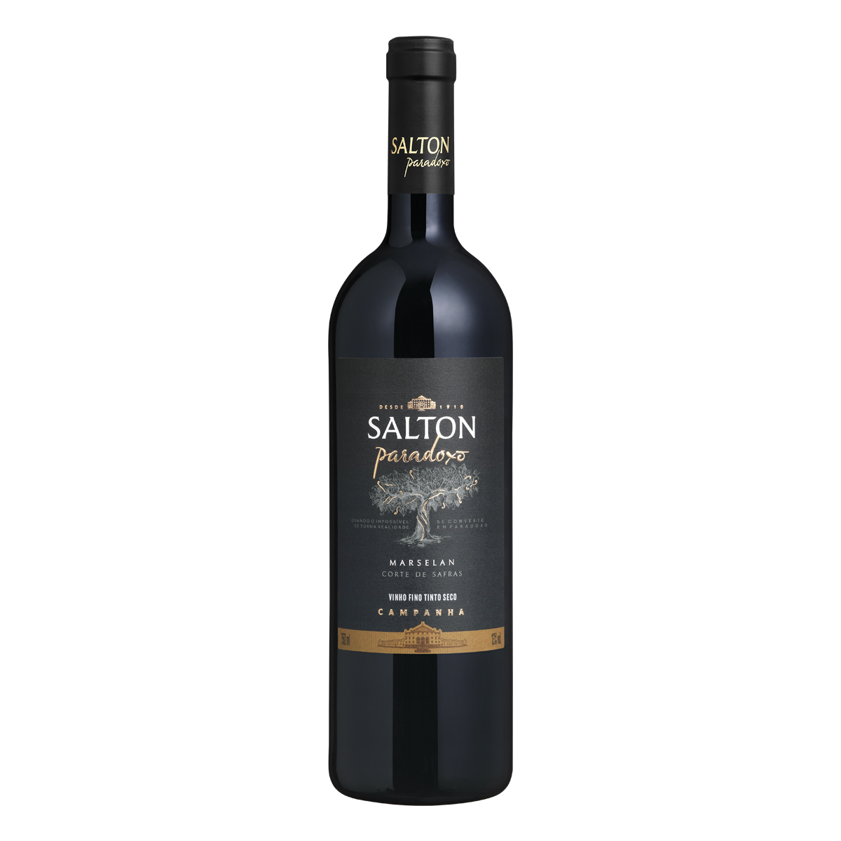 Vinho Salton Paradoxo Marselan Corte de Safras 750ml