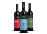 Kit Domenico Salton Campanha