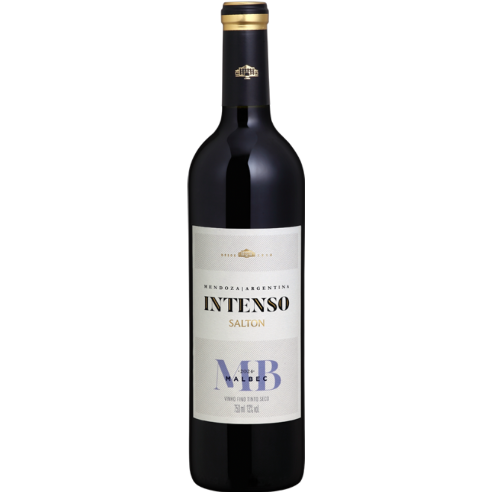 Vinho Tinto Salton Intenso Malbec 750ML 2023